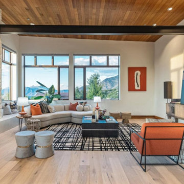 Living & Family Room Designs