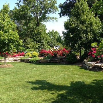 Lush Landscapes