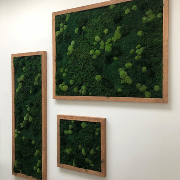 Residential Mixed Moss Features