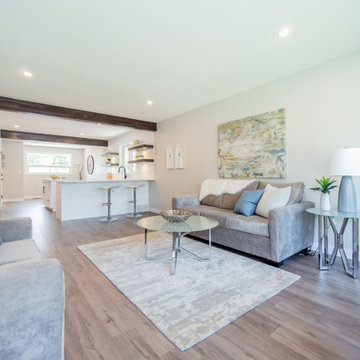 Lakeview Flip