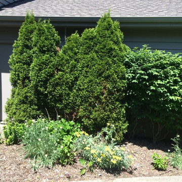 Beachwood Condominium