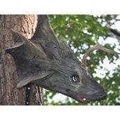 Jeff Barto's photo
