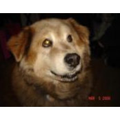 Laura Morrison's photo