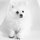 alyn_tran