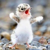 Erika Poole's photo