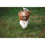 Foto de Betsy Wilbur Capito