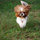 webuser_74937
