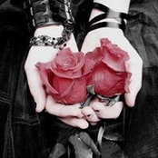 Heather Rogers's photo