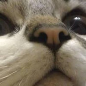 Andrew Longworth's photo