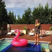 Mitt McLeod's photo
