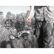 John Glorieux's photo