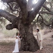 Kelli Gibbs's photo