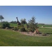 Debby Borrelli's photo