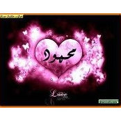 Mahmoud Abdel Zaher's photo