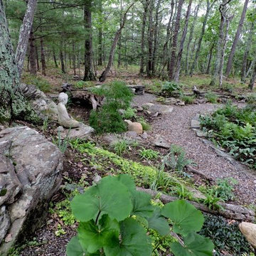 Woodland Living: Patio, Paths & Fire Pit with Woodland Gardens