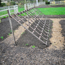 Gardening