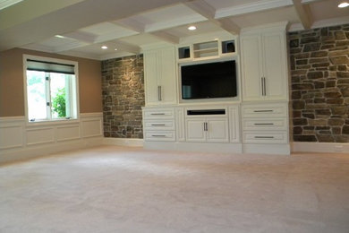 This is an example of a modern basement in Philadelphia.