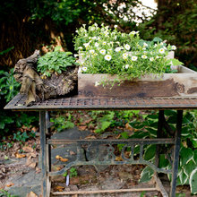 container gardens
