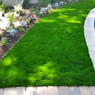 Sod Installation & Drought Tolerant Border