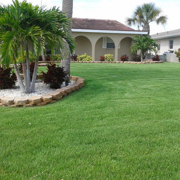 Empire Zoysia