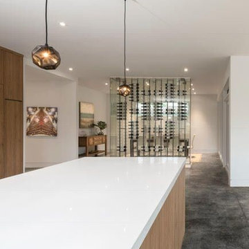 Modern Miami Kitchens