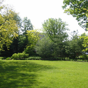 Backyard Retreat