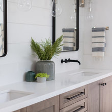 Master Bath Big Vision