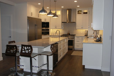 Kitchen - transitional kitchen idea in Edmonton