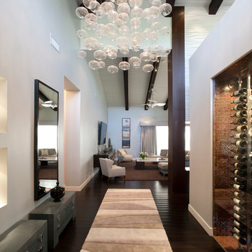 2014 FIRST PLACE WINNER * ASID AWARD Singular Space Winner - Foyer