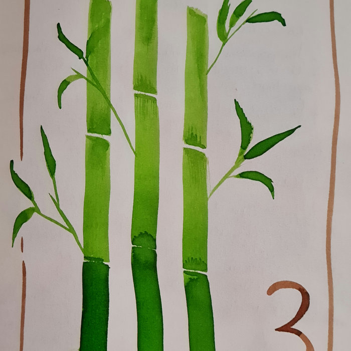 Le bambou, symbole de santé et d’harmonie en Feng Shui