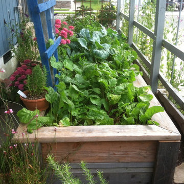 Vegetable & Herb Gardens