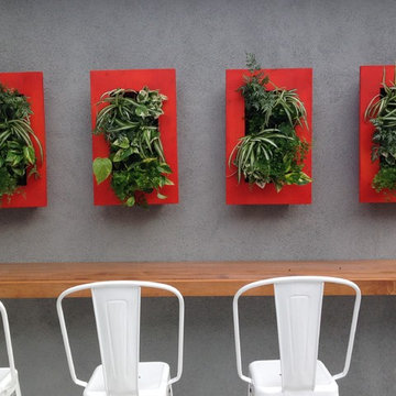 Patio Gardens !!