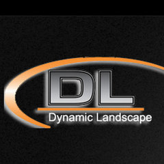 Dynamic Landscape