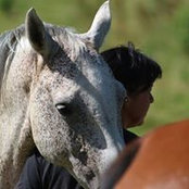 Ute Keller's photo