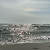 Serena Brown's photo