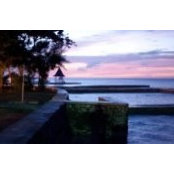 Tom Murphy's photo