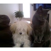 Helga Preeper's photo