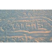 Doug Smith's photo