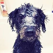 Jenna Rogers's photo