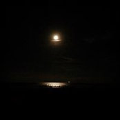 Elise's photo