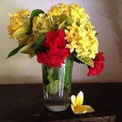 Judith Berger's photo
