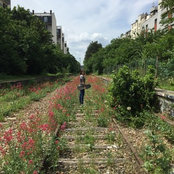 Amy Rigg's photo