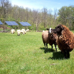 Solar Project Installation - Products