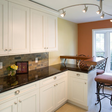 Silver Spring Contemporary Kitchen Design Remodel Elegant Galley