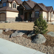 Pine Tree Layout