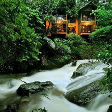 TreeHouses in Kerala