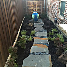 Shady Side Yard