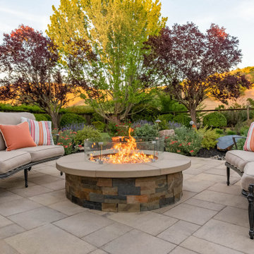 Back Yard Splendor