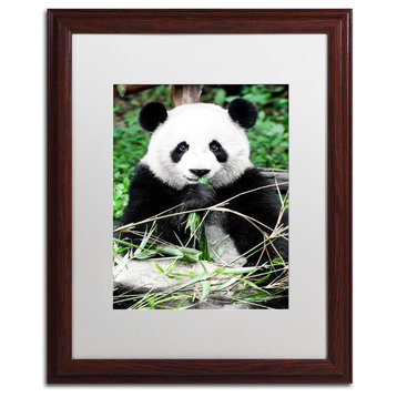 Philippe Hugonnard 'Giant Panda' Art, Wood Frame, White Matte, 20"x16"