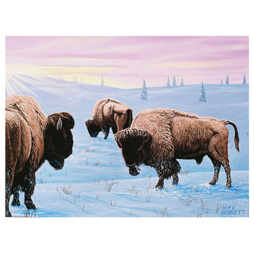 Mike Bennett Wyoming Buffalo Art Print, 9"x12"